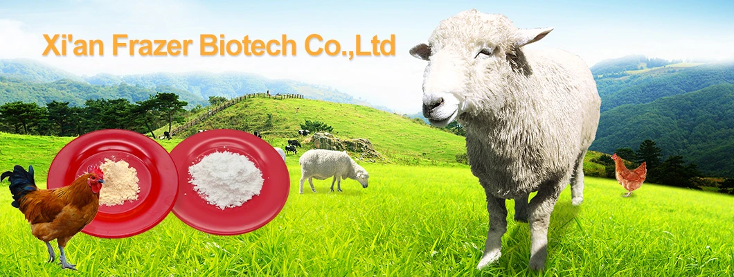 Feed Grade Probiotics Products Bacillus Licheniformis CAS 68038-66-4