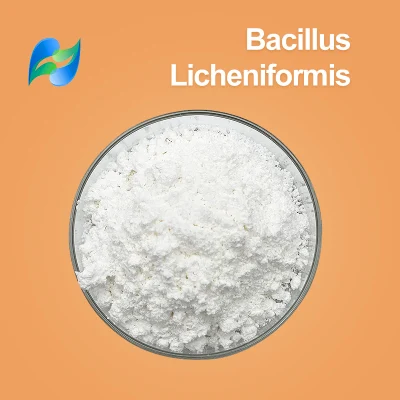 Prodotti probiotici per mangimi, Bacillus Licheniformis CAS 68038-66-4